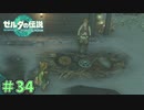 その盾、オレが落としたやつやん　「ゼルダの伝説～ティアーズ・オブ・ザ・キングダム」　＃34