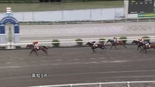 2023年7月1日高知競馬5R 仁淀川特別(準重賞・B級以下) マイネルユキツバキ