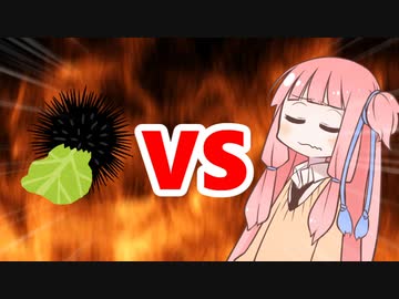 茜ちゃんVSウニ