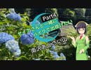 【京町セイカ車載】セイカさんと一緒にバイクで出掛けたい Part4 -南沢あじさい山編-【シンプル車載動画投稿祭】