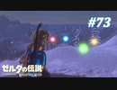 【ゼルダの伝説BotW】実況プレイ-part73-