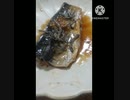 鯖の煮物にいそ松葉あうよアフリカの草原にいきたい鯖旨　い違ったサバンナ