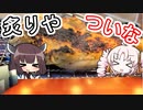 『炙りや　ついな』　若鶏の骨付きモモ肉！