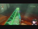 【ゼルダの伝説】周回遅れのティアキン Part17【TotK】