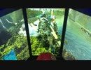 戦場の絆Ⅱ　メサなんとか1295