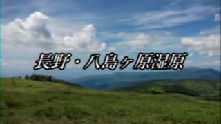 入梨放送 2023年上半期まとめ