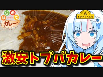 【はじめてカレー投稿祭】貧困トプバチキンカレー