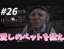ペット想いのゴブリンのために【ホグワーツ・レガシー】#26