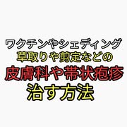 ワクチンやシェディング、草取り、剪定で皮膚炎、帯状疱疹の治し方。ワセリンや紫雲膏など。ゴキブリ駆除方法