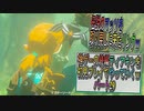 【ゼルダの伝説ティアーズオブザキングダム】神ゲーの続編ティアキンをやっていくｗ　パート29【Totk】