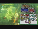 【ゼルダの伝説ティアーズオブザキングダム】神ゲーの続編ティアキンをやっていくｗ　パート30【Totk】