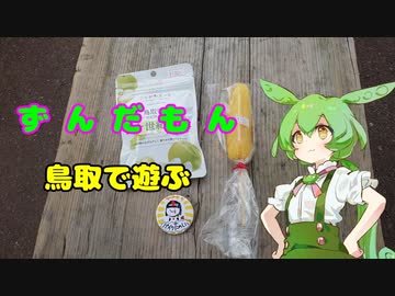 ずんだもん鳥取で遊ぶ