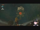 【ゼルダの伝説】周回遅れのティアキン Part18【TotK】