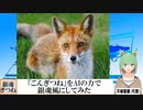 【AI童話】「ごんぎつね」をAIの力で銀魂風にしてみた(2023/07/08)