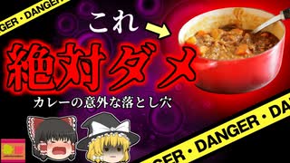 【2005年】お祭りで提供された"毒カレー" カレーを作った後にやってはいけない"アルコト"250人が被害を受けた『カレー食中毒事件』【ゆっくり解説】