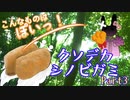 【シノビガミ】人外ばかりが行くクソデカシノビガミpart3