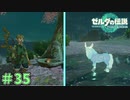 その想いしかと受け止めた！　「ゼルダの伝説～ティアーズ・オブ・ザ・キングダム」　＃35
