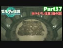 【37】ぼっち勇者の天空探検【ゼルダの伝説ティアーズオブザキングダム】