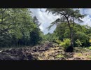 【環境音】鍋倉溪のひと時【アンビエント】