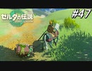 【ティアキン】裏切り者には罰を【ゼルダの伝説 ティアーズ オブ キングダム】実況プレイ part47