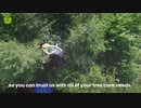 Randolph NJ Tree Service