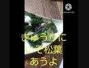 きゅうりにいそ松葉あうよ自転車何処に置く？きゅうり頂戴違った駐輪場だい