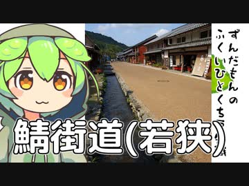 ずんだもん「ところで鯖江の鯖ってなんなのだ？」