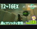 【TK12～16EX】寄り道：森とマリッタと雪原辺り！ゼルダの伝説ティアーズオブザキングダムを実況学習【VTuber】