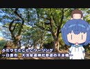 ふたりでとことこツーリング215-11　～日置市　大汝牟遅神社参道の千本楠～