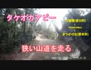 タケオカアビー 狭い山道を走る(リニューアル)
