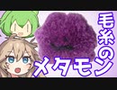 【ポケモン】毛糸でメタモン作るよー【VOICEVOX】