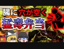 【2014年】全くの無自覚で猛毒を振りまいていてしまった男性…美味しいカレー弁当についていた恐ろしい菌『腸チフス集団食中毒』【ゆっくり解説】