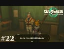 【ゼルダの伝説 Tears of the Kingdom】教員免許とかいらないんですか？【実況】#22