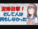 【心理学】泥棒実験をして分かった最強の行動戦略【VOICEROID解説】