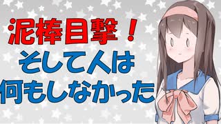 【心理学】泥棒実験をして分かった最強の行動戦略【VOICEROID解説】