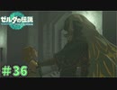真実を知っても対応がかっこよすぎる　「ゼルダの伝説～ティアーズ・オブ・ザ・キングダム」　＃36