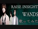 RAISE INSIGHT/WANDS(歌ってみた)