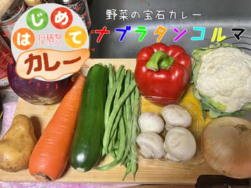 【はじめてカレー投稿祭】ナブラタンコルマ作ってみた-9種の野菜カレー-