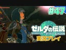 【実況】大空を翔る。ゼルダの伝説ティアーズオブザキングダム 実況プレイ！Part47【ゼルダの伝説TotK】