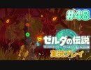 【実況】大空を翔る。ゼルダの伝説ティアーズオブザキングダム 実況プレイ！Part48【ゼルダの伝説TotK】