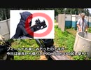 【サバゲー】裏取りチャレンジ！超アテナ