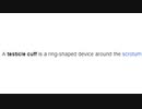 CBT Wikipedia article reading