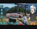 おバイク風景案内４４ 奈良の南と熊野の桜（後）【V-STROM1050XT】