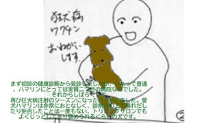 事件③いしふなどうぶつ病院内狂犬病乱暴注射事件　ウコヂ獣医(現　アアシキ動物病院、スンニギチ動物病院院長)