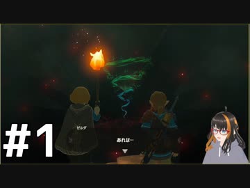 まずはガノンに会いに行こう　#1【ゼルダの伝説ティアーズオブザキングダム】