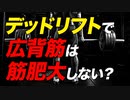 【筋トレ】デッドリフトで広背筋は筋肥大するのか？ | ボディビルチャンピオンが解説【ビーレジェンド プロテイン】