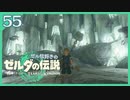 #055【ゼルダの伝説ティアーズオブザキングダム】ちょっと世界を翔けてくる【実況プレイ】