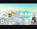 どんなに高い場所でも、下が水ならノーダメージ　#2【ゼルダの伝説ティアーズオブザキングダム】