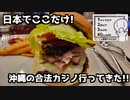 【シンプル車載動画投稿祭】沖縄の合法カジノ行ってきた！