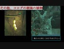 【ゼルダ ティアキン】地下の植物の謎を徹底解説！